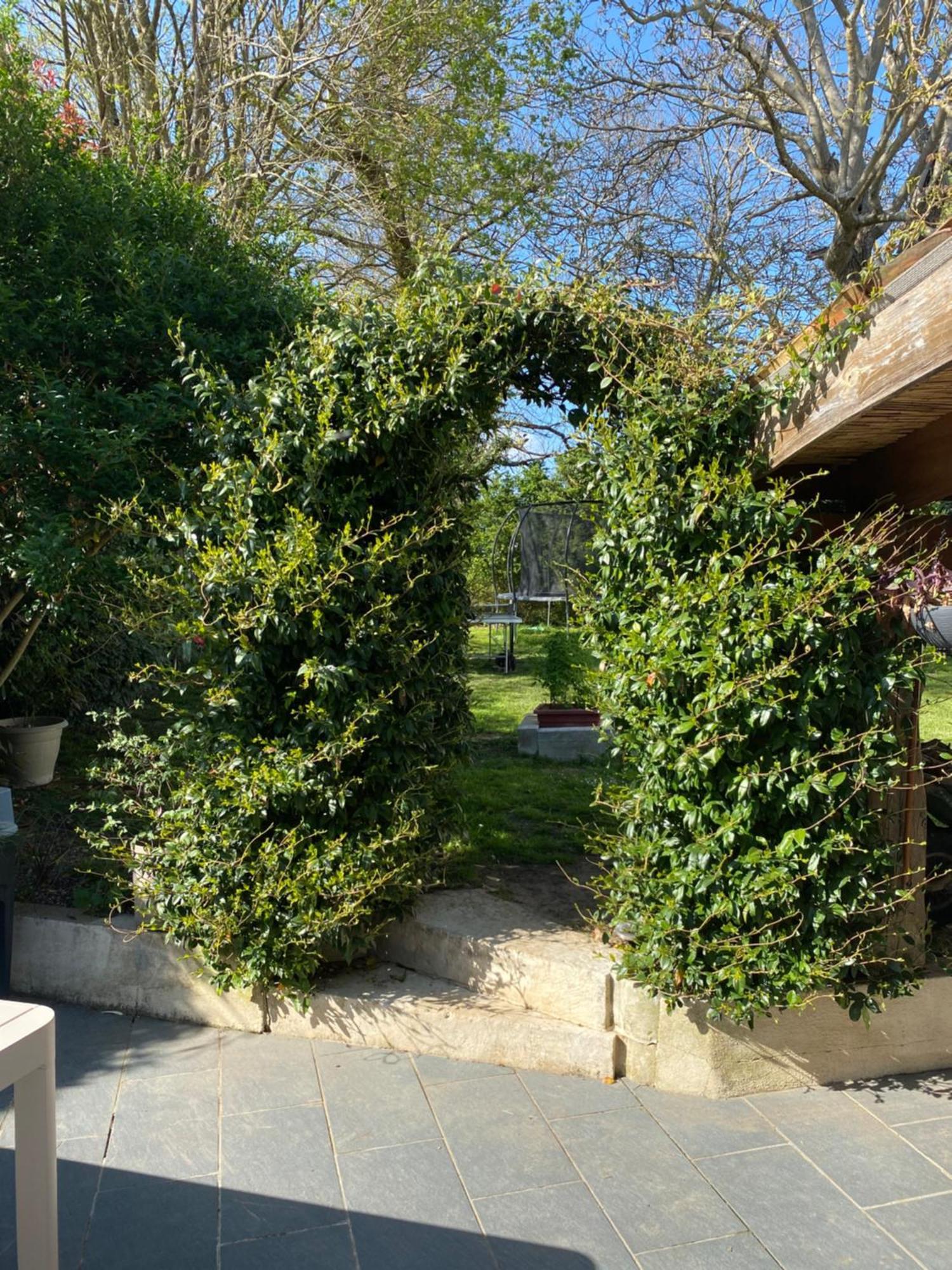 Villa Les 5 Timbres Montpellier-de-Médillan Exterior foto